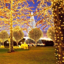 暖白色-2件戶外串燈 - 暖白色 - 查看 4