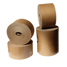 Kraft Paper - Beis - Ver 5