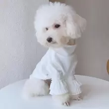 1pc Pet Clothes Spring & Autumn Lace Long Sleeve Dog T-Shirt, For Pets Only - White - View 1