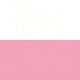 Rosa 12 Uds.