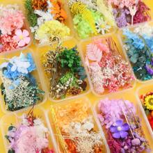 1 盒 DIY 永生花、环氧树脂填料，适用于 DIY 手工相册、环氧树脂珠宝模具、蜡烛、肥皂制作、美甲、DIY 工艺礼品用品、生日礼物