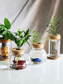 1 件,迷你水耕花盆家用花瓶裝飾,透明玻璃無土花盆,綠色植物盆適合家庭客廳、辦公室、裝飾、花園裝飾 - 無色 - 查看 3
