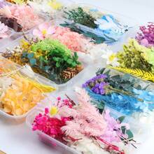 1 盒 DIY 永生花、环氧树脂填料，适用于 DIY 手工相册、环氧树脂珠宝模具、蜡烛、肥皂制作、美甲、DIY 工艺礼品用品、生日礼物