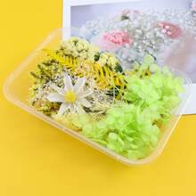 1 盒 DIY 永生花、环氧树脂填料，适用于 DIY 手工相册、环氧树脂珠宝模具、蜡烛、肥皂制作、美甲、DIY 工艺礼品用品、生日礼物