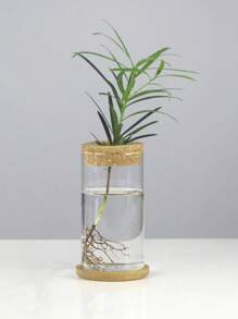 1 件,迷你水耕花盆家用花瓶裝飾,透明玻璃無土花盆,綠色植物盆適合家庭客廳、辦公室、裝飾、花園裝飾 - 無色 - 查看 8