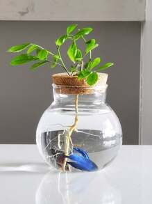 1 件,迷你水耕花盆家用花瓶裝飾,透明玻璃無土花盆,綠色植物盆適合家庭客廳、辦公室、裝飾、花園裝飾 - 無色 - 查看 7