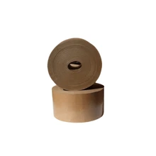 Kraft Paper - Beis - Ver 2