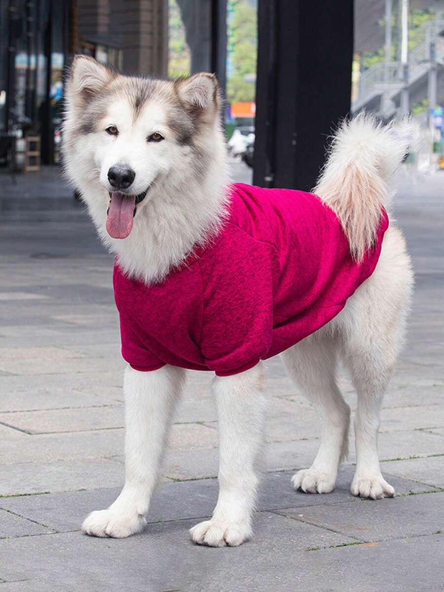1pc Large Dog Sweatshirt With Golden Retriever, Samoyed, Border Collie, Cat Pattern, Pet Clothes For Medium & Large Dogs In Autumn And Winter