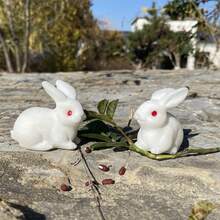 天然白玉兔,玉雕兔子,家居裝飾,水晶動物,兒童禮物,水晶療法,靈氣治療,水晶禮品 1 件 - 白色 - 查看 11