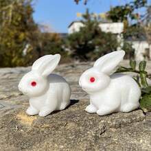 天然白玉兔,玉雕兔子,家居裝飾,水晶動物,兒童禮物,水晶療法,靈氣治療,水晶禮品 1 件 - 白色 - 查看 9