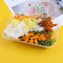 1 盒 DIY 永生花、环氧树脂填料，适用于 DIY 手工相册、环氧树脂珠宝模具、蜡烛、肥皂制作、美甲、DIY 工艺礼品用品、生日礼物