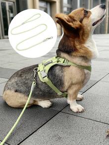 1條馬卡龍色反光寵物牽繩,適用於小型和中型犬和貓,夜間安全行走和防丟失措施 - 綠色 - 查看 5