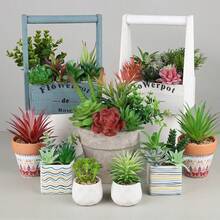 1pc Simulated Decorative Succulent Plants, Suitable For Use In Offices, Balconies, And Living Rooms - JZ004-B# - View 3
