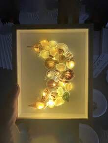 1 件貝殼形狀小夜燈,海貝殼手工 Diy 相框展示,空心標本框 - 彩色 - 查看 5