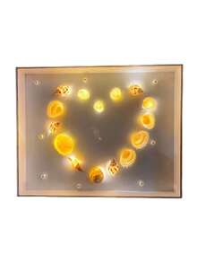 1 件貝殼形狀小夜燈,海貝殼手工 Diy 相框展示,空心標本框 - 彩色 - 查看 4