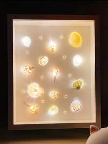 1 件貝殼形狀小夜燈,海貝殼手工 Diy 相框展示,空心標本框 - 彩色 - 查看 7
