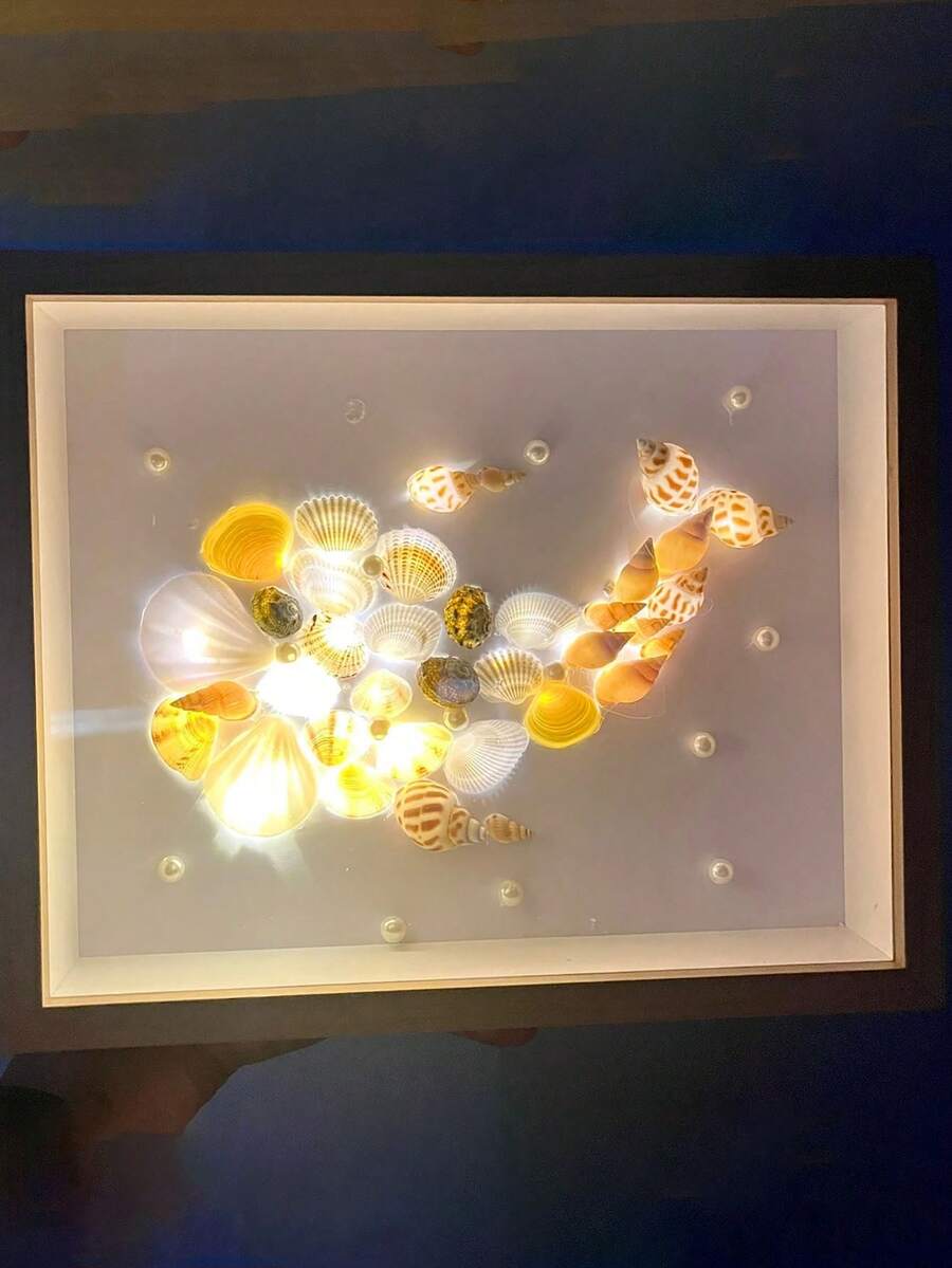 1 件貝殼形狀小夜燈,海貝殼手工 Diy 相框展示,空心標本框 - 彩色 - 查看 1