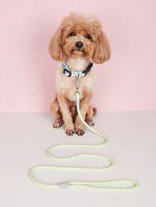 1條馬卡龍色反光寵物牽繩,適用於小型和中型犬和貓,夜間安全行走和防丟失措施 - 綠色 - 查看 3