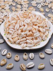 50pcs 19mm A Bag White Color Shell Beads For Jewelry Making Beach Style Holiday - White - View 3