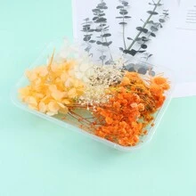 1 盒 DIY 永生花、环氧树脂填料，适用于 DIY 手工相册、环氧树脂珠宝模具、蜡烛、肥皂制作、美甲、DIY 工艺礼品用品、生日礼物