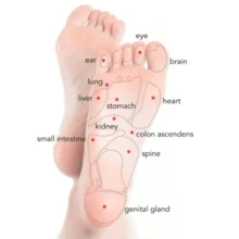 Massage Equipment - 紫色 - 查看 2