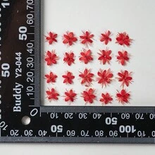 1pack (12pcs) Real Flower Plant Specimens For Diy Handmade Projects Like Picture Frame, Bookmark, Phone Case, Pressed Flower Art And Supply Materials - Red - View 2