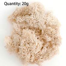 1包20g白色保鮮苔,適用於微景觀、苔牆、櫥窗陳列、室內裝飾,永久性植物 - 白色 - 查看 2