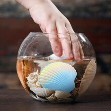 Creative Sea Shell Hatching Toys For Kids, Girl Jewelry Pendant, Christmas Surprise Gift. Colors/Styles Random - Multicolor - View 10