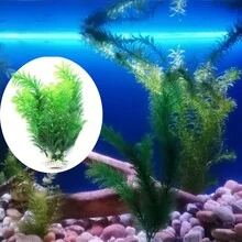 1pc Artificial Water Grass, Fish Tank Aquarium Decoration, Green Flocking Craft Tree Set For Landscape - Green - View 1