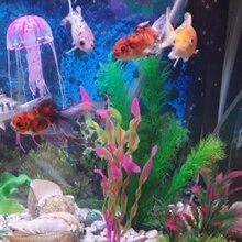 1pc Artificial Water Grass, Fish Tank Aquarium Decoration, Green Flocking Craft Tree Set For Landscape - Green - View 3