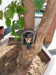 1 Miếng Sân vườn Gnome Nam Với Trắng Râu Nhựa Thủ công Quỷ lùn Bức tượng nhỏ Đối với Cửa sổ Móc áo - màu nâu - Xem 3