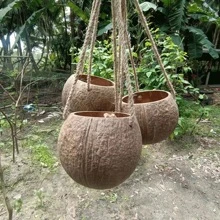 1pc 3.5-5 Inches Brown Coconut Shell Hanging Planter With Rope, Vintage Countryside Style Plant Pot Container For Restaurant Wall Decoration Hanging Basket
