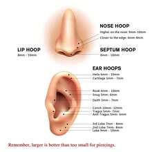 16 克雙圈不鏽鋼無縫綁留珠鉸鏈段鼻環：直徑 8 毫米 10 毫米軟骨耳環 - 金色 - 查看 8