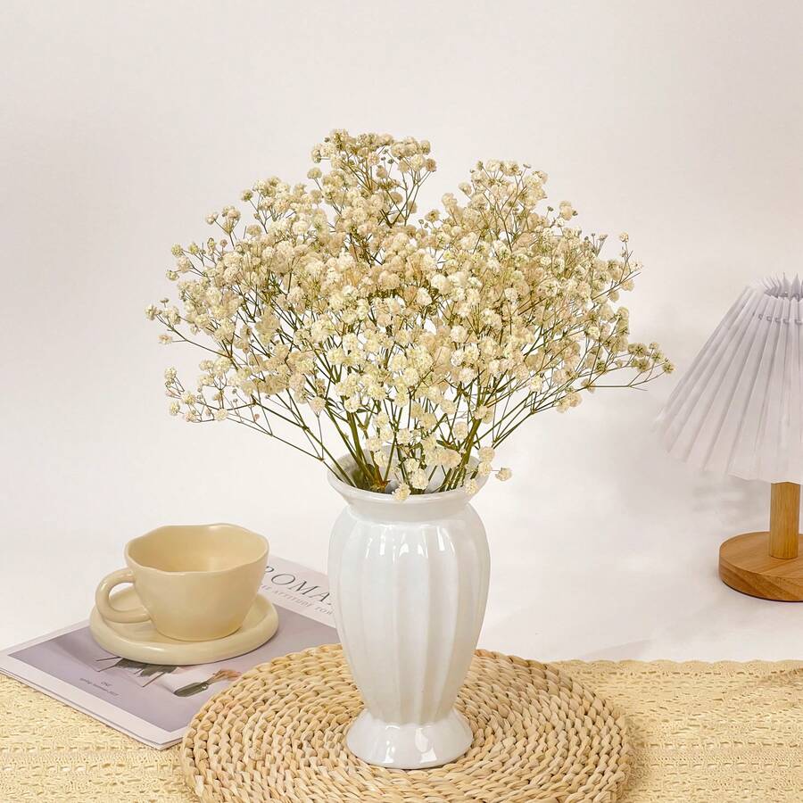 1束乾花,嬰兒生日花乾花自然石竹枝,派對桌面花瓶園藝辦公室婚禮家居禮品diy花環花卉 - 白色 - 查看 1