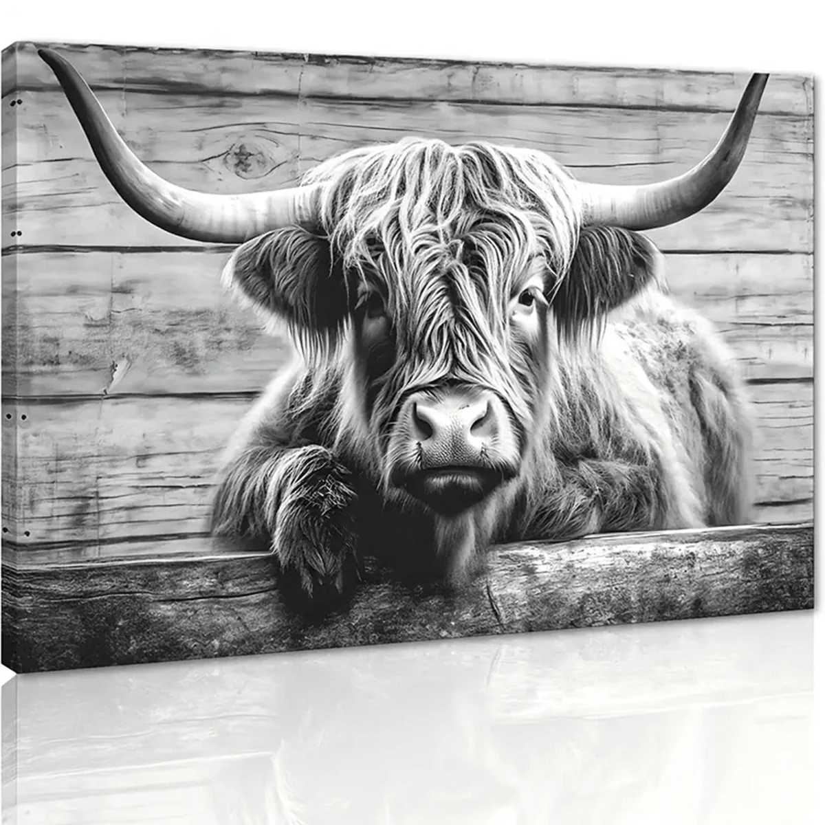 可愛的高地牛牧場毛茸茸的牛動物畫布畫,有復古木質底板背景的黑白牛壁畫裝飾畫,適用於家庭辦公室裝飾,不含框架16"*12" - 黑與白 - 查看 1