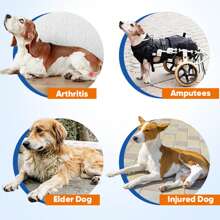 1pc Fluffy Pet Chest/Back Adjustable Traction Rope For Elderly/Disabled Dogs, Dog's Rear Leg Sling, Help Lifting Device For Dogs' Rear Part - Black - View 7