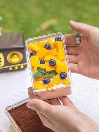 10入組一次性透明方形慕斯提拉米蘇蛋糕盒，適用於蛋糕、甜點、水果、糕點包裝婚禮派對禮品袋