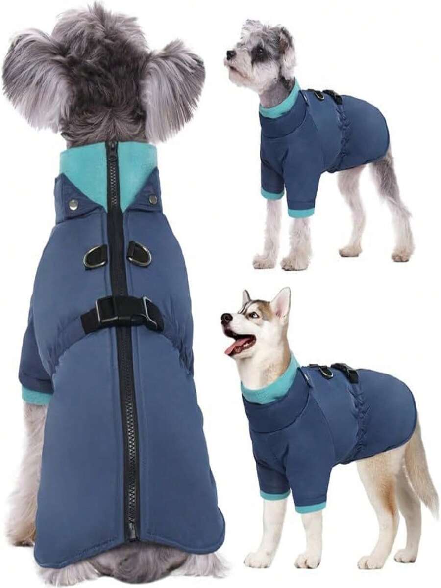 Dog Coat, Winter Warm Pet Jacket With Zipper, Small Dog Windproof Outdoor Coat, Blue, Size S - Blue - View 1