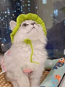 1入組創意青蛙寵物帽子，狗貓用的頭飾，手編毛線帽子，可用於小狗貓裝飾配件和衣服，綠色可愛編織青蛙造型寵物帽子，適合貓咪萬聖節裝扮，貓咪有趣的頭飾 - 綠色 - 查看 3