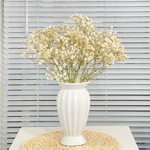 1束乾花,嬰兒生日花乾花自然石竹枝,派對桌面花瓶園藝辦公室婚禮家居禮品diy花環花卉 - 白色 - 查看 2