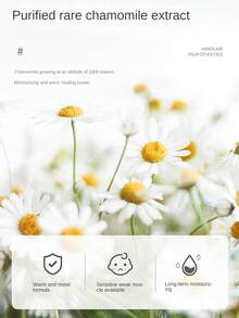 黃春菊保濕滋養手霜,250克,讓手在秋冬季節保持柔軟和光滑 - 白色 - 查看 5