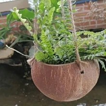 1pc 3.5-5 Inches Brown Coconut Shell Hanging Planter With Rope, Vintage Countryside Style Plant Pot Container For Restaurant Wall Decoration Hanging Basket