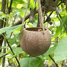 1pc 3.5-5 Inches Brown Coconut Shell Hanging Planter With Rope, Vintage Countryside Style Plant Pot Container For Restaurant Wall Decoration Hanging Basket