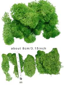 10/20克人工假苔蘚,diy模擬苔蘚草微型景觀布置,綠色植物草坪盆栽植物窗戶裝飾景觀設計 - 綠色 - 查看 4