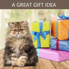 1 件天然灯心草猫抓板、猫床、猫垫，附带猫玩具球，保暖防潮