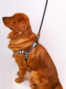 Supet Conjunto de arnés y correa para mascotas con diseño multicolor, ajustable, adecuado para perros medianos y pequeños, chaleco de moda para paseos al aire libre