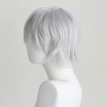 Fashionable Silver 10-Inch Short Straight Synthetic Fiber Wig With Oblique Bangs Suitable For Anime Cosplay, For Men - Silver - View 4