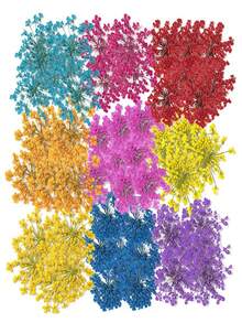 12入組,1包紅色花邊花,雪花珠,小嬰兒氣息,凸起的乾花,face Time珠寶修指甲工具材料 - 紅色 - 查看 6