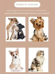 1pc 360 Degree Oral Cleaning Small Head Pet Toothbrush For Cats And Dogs - Green - View 3