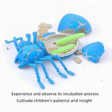 20pcs Soak In Water To Hatch Animal Eggs, Turtles, Spiders, Beetle, Small Toys, Creative, Weird, Children's Funny Toys - Soaked Spiders In a Box Of 20 - View 3